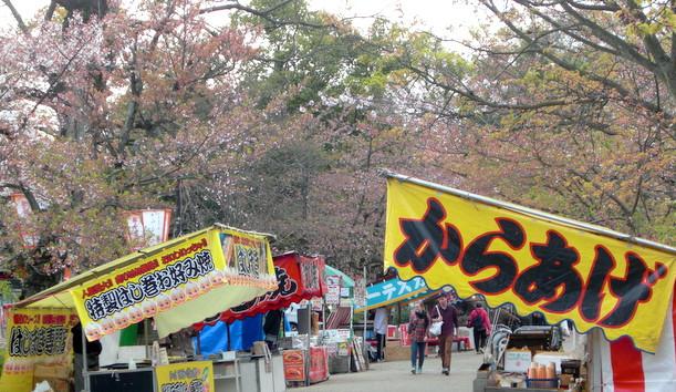 京都円山公園の桜 屋台