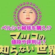 ペルシャ絨毯マツコ