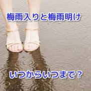 梅雨入り梅雨明け