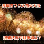 長岡まつり大花火大会