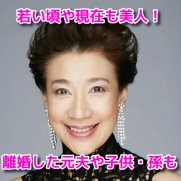 前田美波里　プロフィール