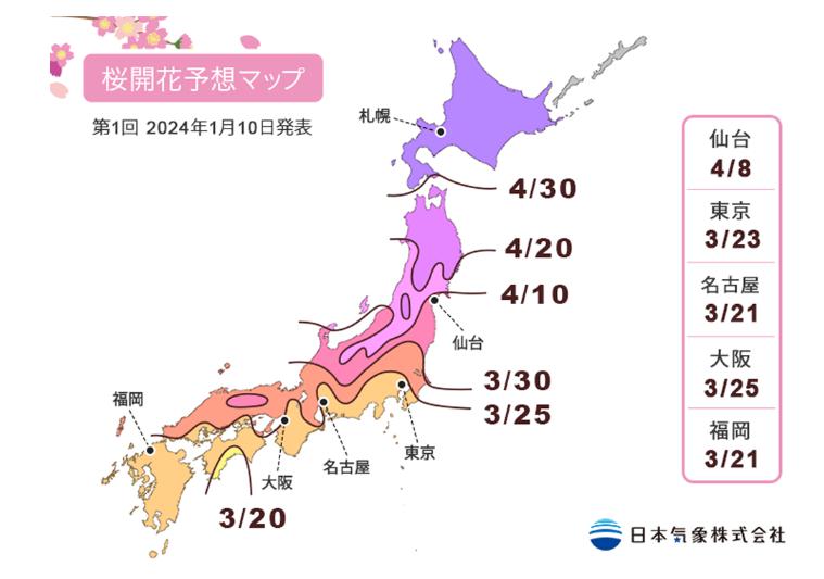 桜開花予想　2024年