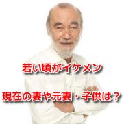 ミッキー・カーチス　プロフィール