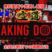 BreakingDown8(ブレイキングダウン8)　見逃し配信