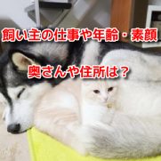 犬と猫の親ばか日記　プロフィール