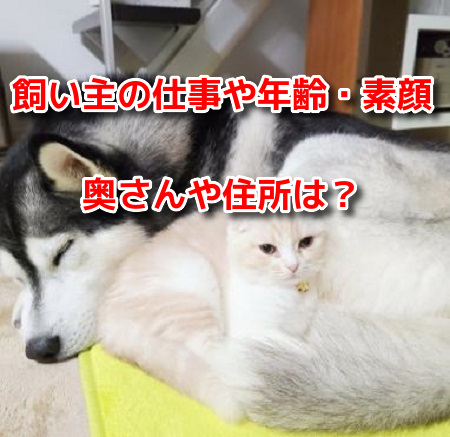 犬と猫の親ばか日記　プロフィール