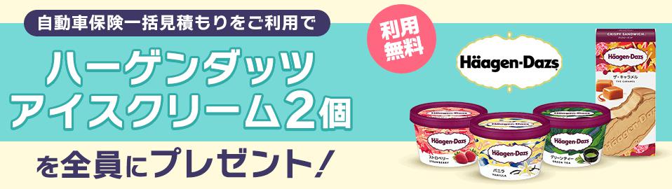 自動車保険インズウェブ　ハーゲンダッツ2個プレゼント